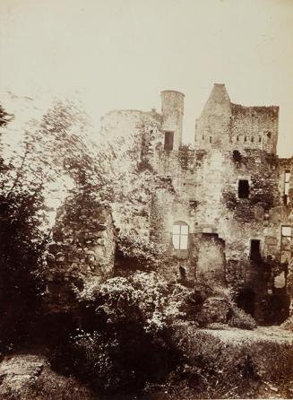 Passy, ruines du château médiéval