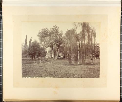 La pradera de los jardines de San Telmo.