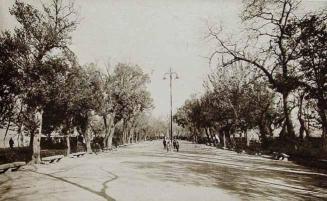 Jaén. Paseo de La Alameda