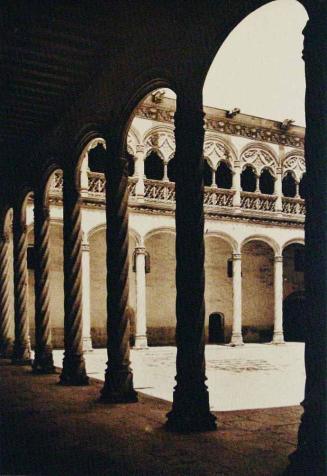 Valladolid. Colegio de San Gregorio. Patio