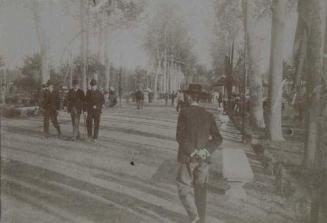 (Personas paseando por una avenida de árboles)