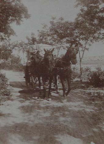 (Coche de caballos avanzando por un camino)