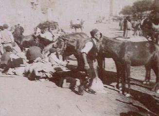 (Grupo de campesinos con asnos en Calatayud)