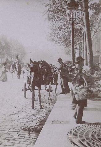 (Coche de caballos en una calle de París)