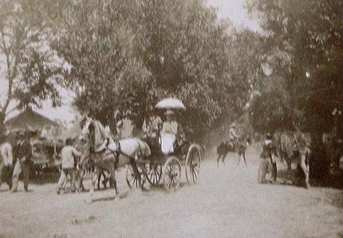 (Coche de caballos en un paseo de árboles)