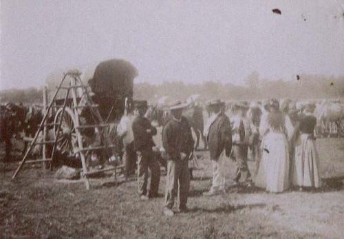 (Feria en el Campo)