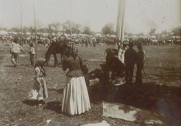 (Feria en el campo)