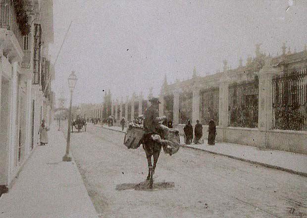 (Calle San Fernando de Sevilla)