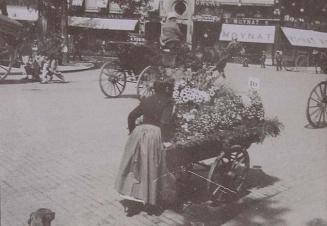 (Florista arrastrando un carro de flores)