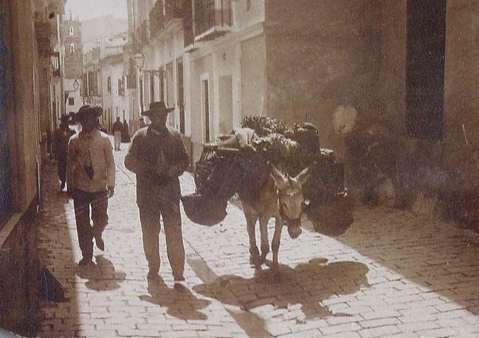 (Sevilla. Vista de una calle-patio)