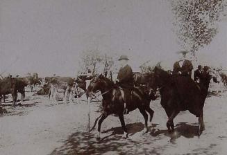 (Caballos en la Feria de Écija)