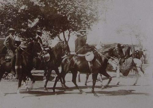 (Caballos en la Feria de Écija)