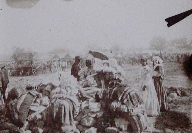 (Feria de San Miguel de Sevilla)