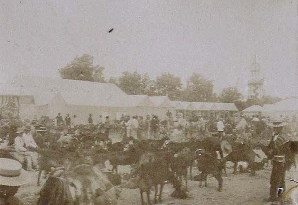 (Feria de Sevilla)