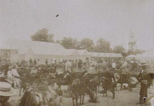 (Feria de Sevilla)