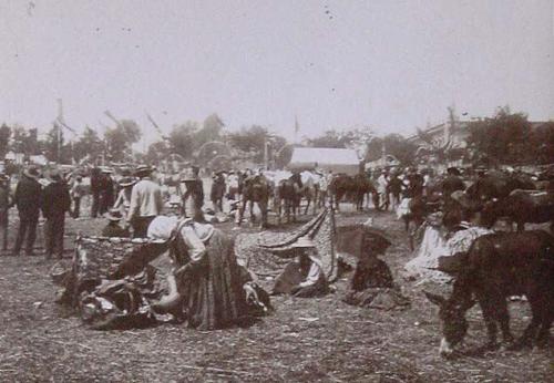 (Feria de Sevilla)