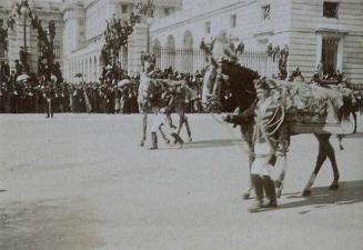 (Caballos de honor delante del Palacio Real)