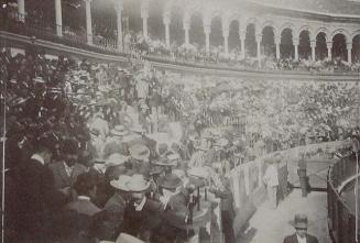 (Coso de una plaza de toros repleto de público)