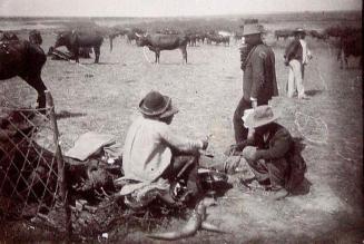 (Feria de ganado taurino en Lora del Río)