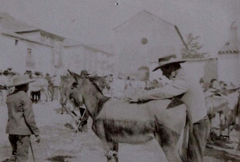 (Feria de ganado en la plaza de un pueblo)