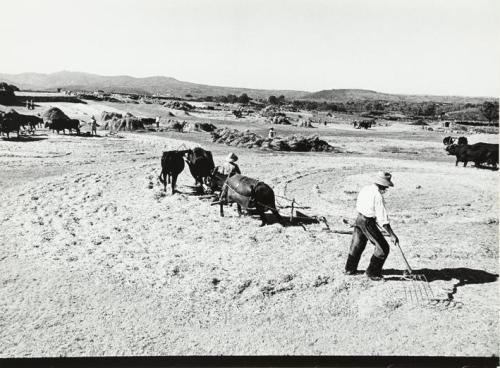 Agricultores trabajando la tierra