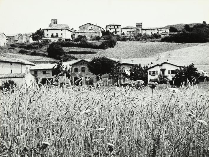 Campo con espigas y pueblo