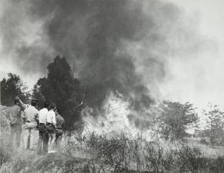 Grupo de personas observa un incendio