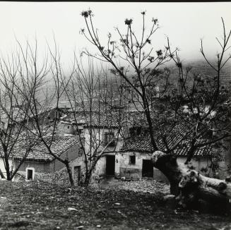 Casas y árboles