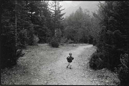 Niño en el bosque