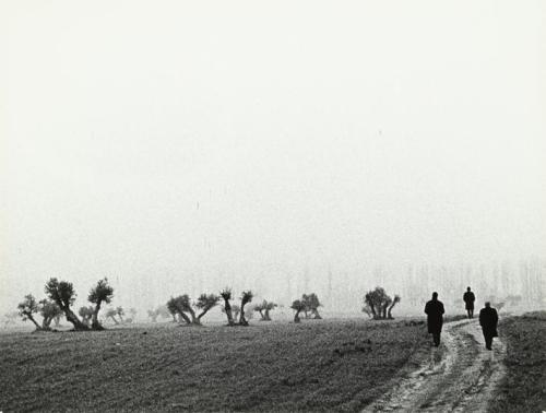 Tres hombres en un camino