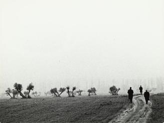 Tres hombres en un camino