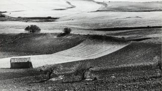 Campos de cultivo