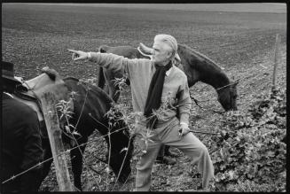 Hombre señalando junto a unos caballos