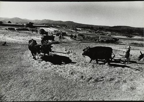 Béjar. Era