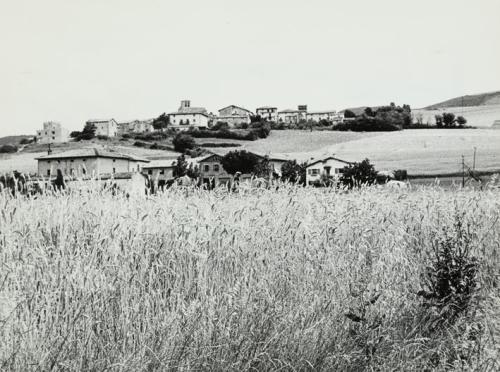 Campo con espigas y pueblo