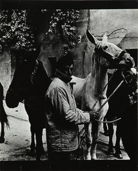 Feria de ganado