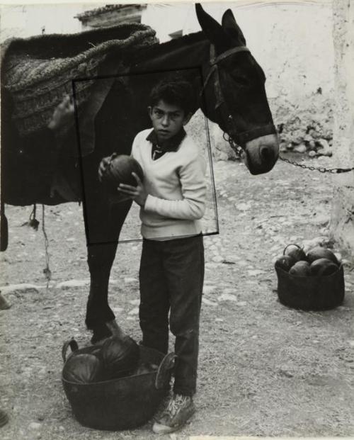 Niño con mula y frutas