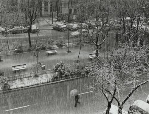 Tormenta de nieve