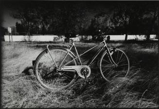 Bicicleta en campo