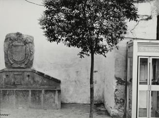 Fuente, árbol y cabina telefónica