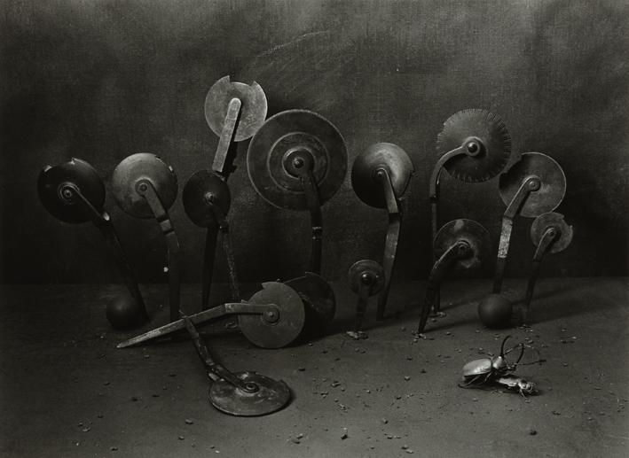 Still Life