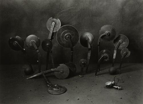 Still Life