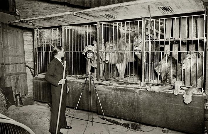 Atracción de los leones de Abisinia en el teatro Olympia. Barcelona, enero de 1936