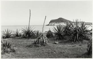 Almería. Playa de los genoveses.