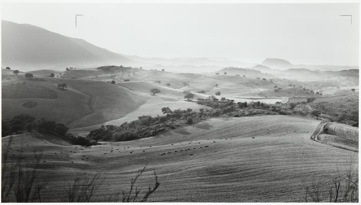 Carretera de Hita a Sigüenza