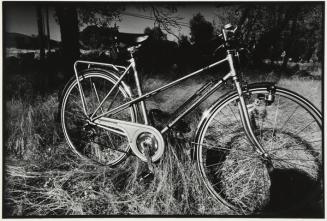 Bicicleta en un campo con hierba alta