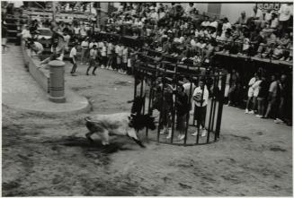 Toro en un ruedo con personas enjauladas