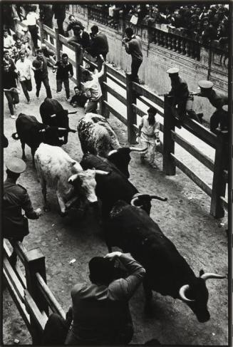 Encierro en Pamplona