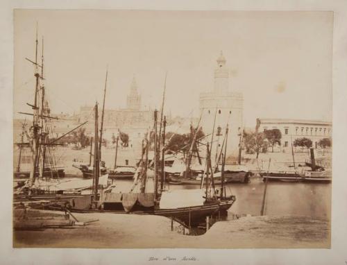 Toro d'ora Seville