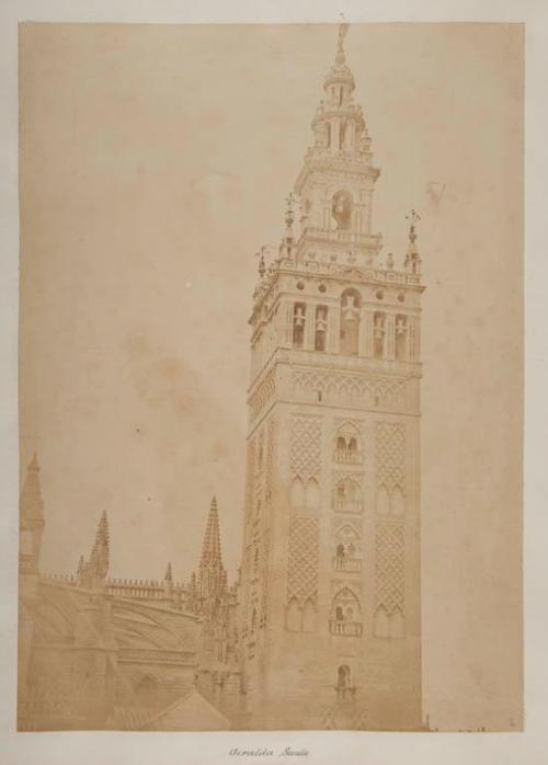 Giralda. Sevilla